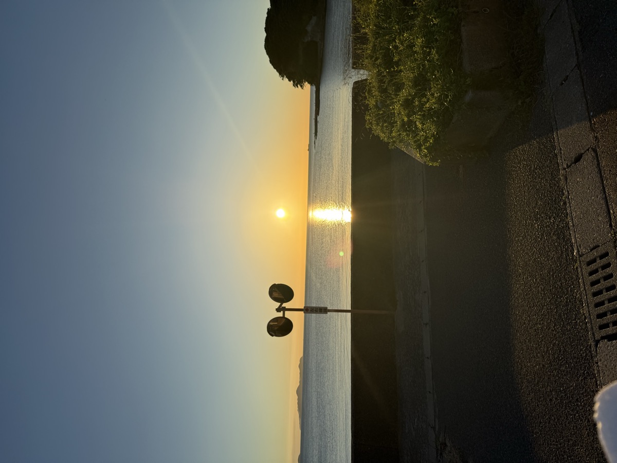 夕日の中でのカット